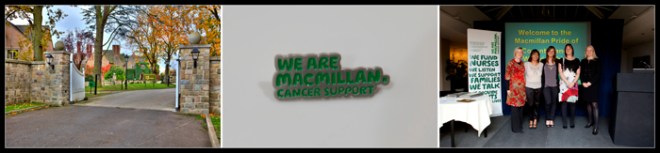 MacmillanAwards2010 web blog header